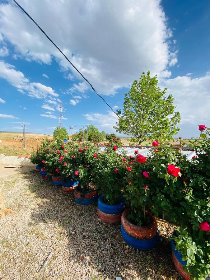 Motel Ain Mersa Ифран Экстерьер фото